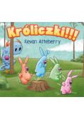 Króliczki!!!