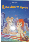 Aladyn/Łobuziak w cyrku/Gwiazdkowa niespodzianka