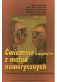 Ćwiczenia laboratoryjne z metod numerycznych
