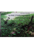 Na stoku Cytadeli Poznańskiej