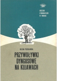 Przywoływki dyngusowe na Kujawach