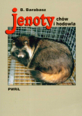 Jenoty : chów i hodowla
