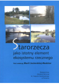 Starorzecza jako istotny element ekosystemu rzecznego
