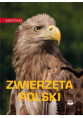 Nasza Polska. Zwierzęta Polski