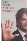 Płoną koty w Biłgoraju