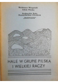 Hale w grupie Pilska w Wielkiej Raczy