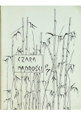 Czara mądrości