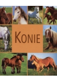 Konie