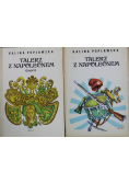 Talerz z Napoleonem część I i II
