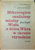 Mikroregion osadniczy między Wisłą a dolną Wkrą w okresie rzymskim
