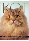 Kot