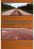 Efektywność transportu w teorii