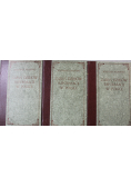 Zarys dziejów reformacji w Polsce 3 tomy reprint z ok 1905 r