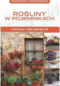 Rośliny w pojemnikach