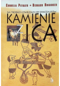 Na tropach cywilizacji ery dinozaurów: Kamienie z Ica