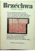 Brzechwa wiersze wybrane