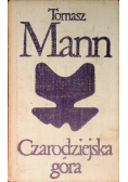 Czarodziejska góra Tom 2