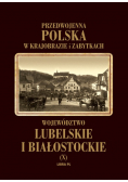 Województwo lubelskie i białostockie tom 10