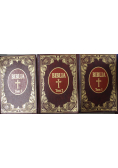 Biblia 3 tomy reprint z 1599 r.