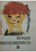 Wielkie przygody małego ancykrysta