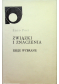 Związki i znaczenia. Eseje wybrane