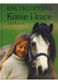 Konie i kuce Encyklopedia