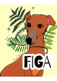 Figa