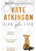 Life after life