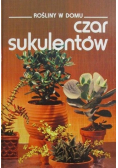 Rośliny w domu Czar sukulentów