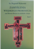 Zamyślenia wiejskiego proboszcza Rok C