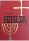 Ilustrowana Biblia młodych