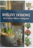 Rośliny domowe Jak je wybrać hodować i pielęgnować