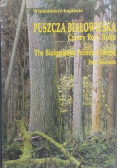 Puszcza Białowieska Cztery Pory Roku