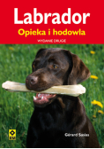Labrador Opieka i hodowla