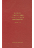 Księga Dwunastu mniejszych proroków