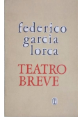 Teatro Breve