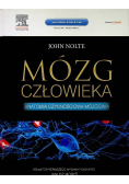 Mózg człowieka Tom 2