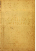 Zwierzę domowe