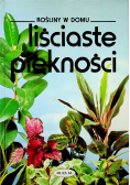 Rośliny w domu Liściaste piękności