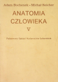 Anatomia człowieka Tom V