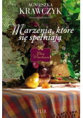 Marzenia które się spełniają