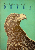 Orzeł