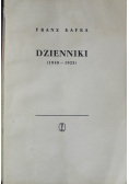 Kafka Dzienniki