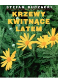 Krzewy kwitnące latem