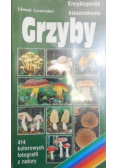 Grzyby Encyklopedia kieszonkowa