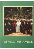 Numine Tuo Domine
