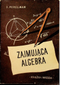Zajmująca algebra