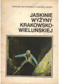 Jaskinie wyżyny krakowsko  wieluńskiej