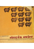 Strzyża owiec