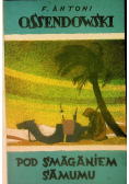 Pod smaganiem Samumu 1926 r.